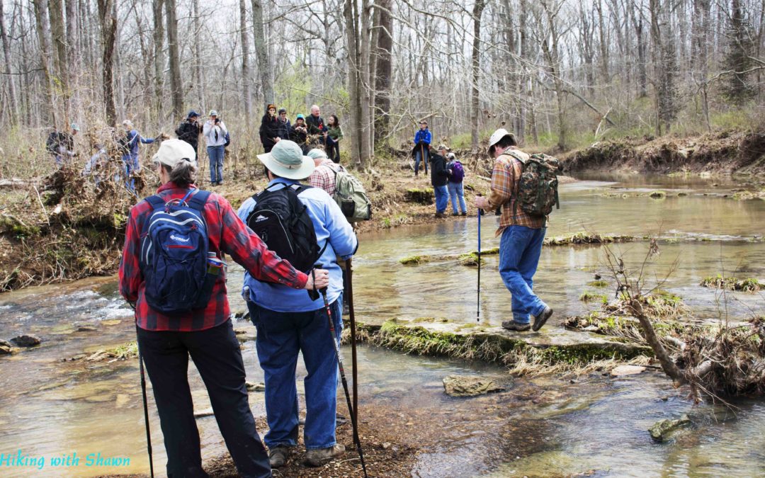 Shawnee National Forest Group Hiking: My Overall Opinion…