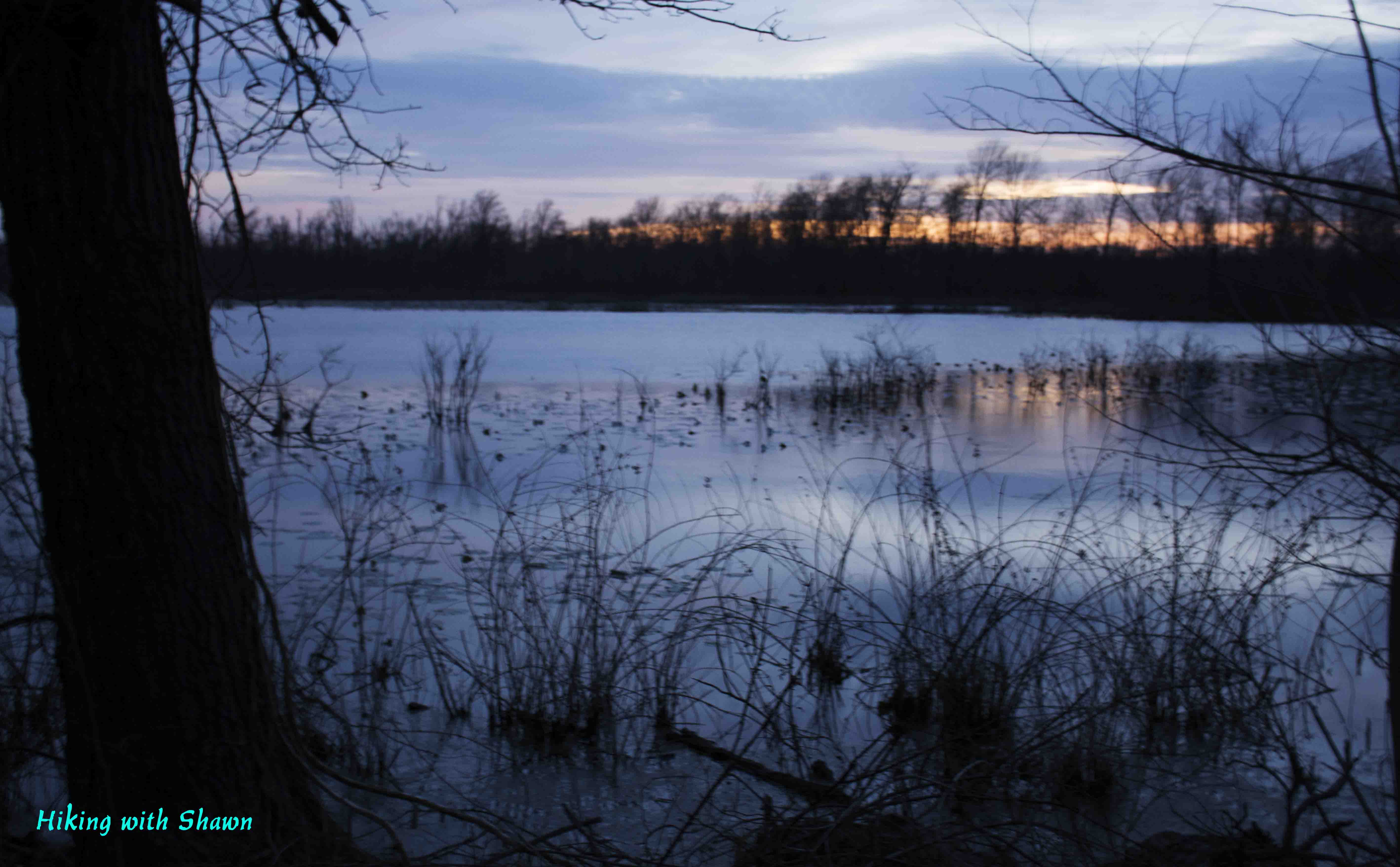 Horseshoe Bluff Overlook