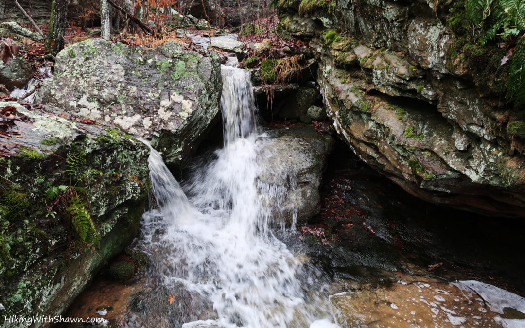 A Cabin, Llamas and WATERFALLS GALORE!!!