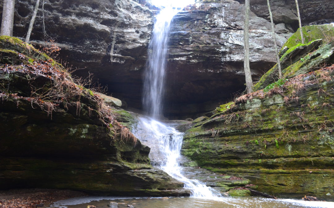 Ferne Clyffe State Park – A view into Southern Illinois State Parks