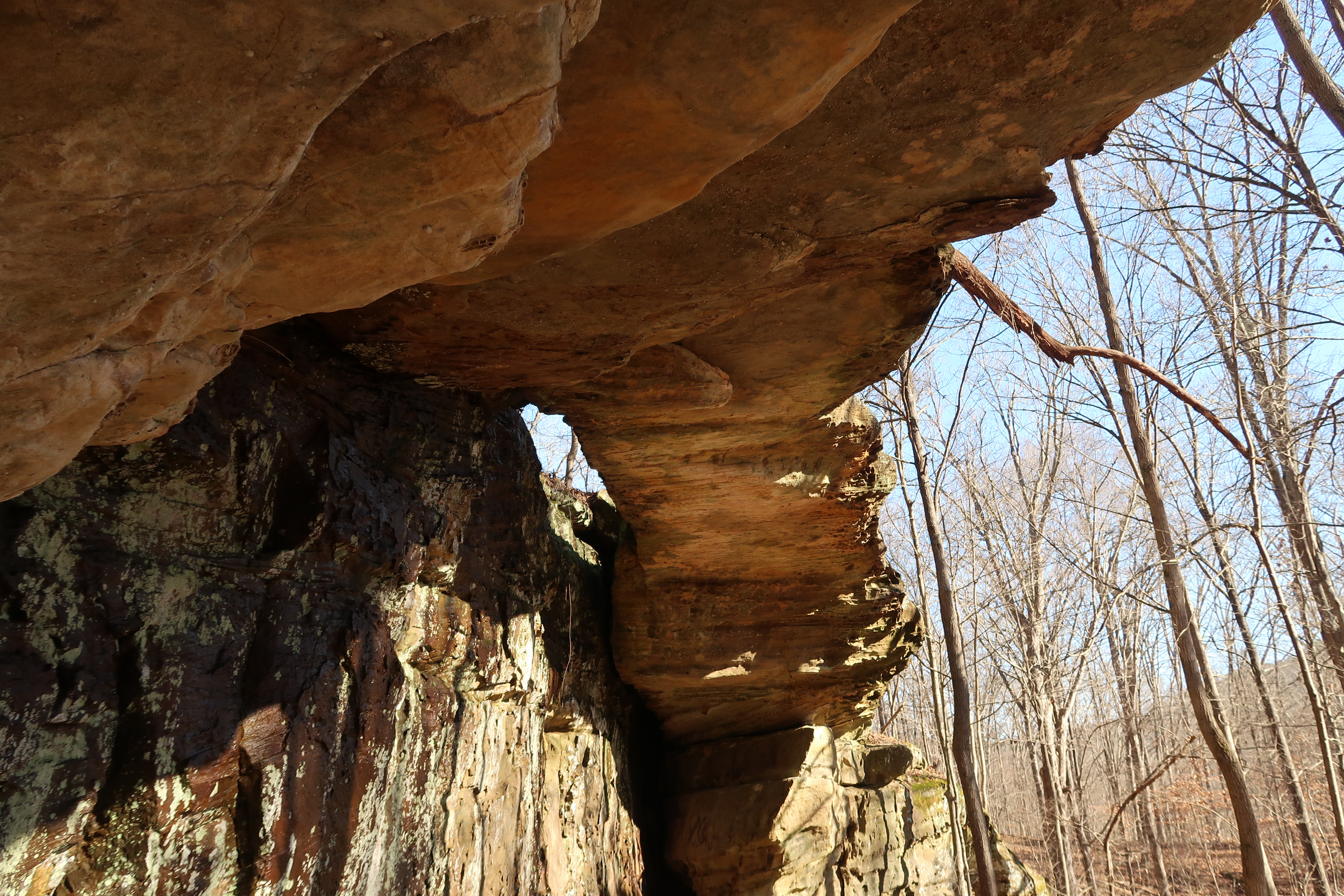 Ferne Clyffe State Park