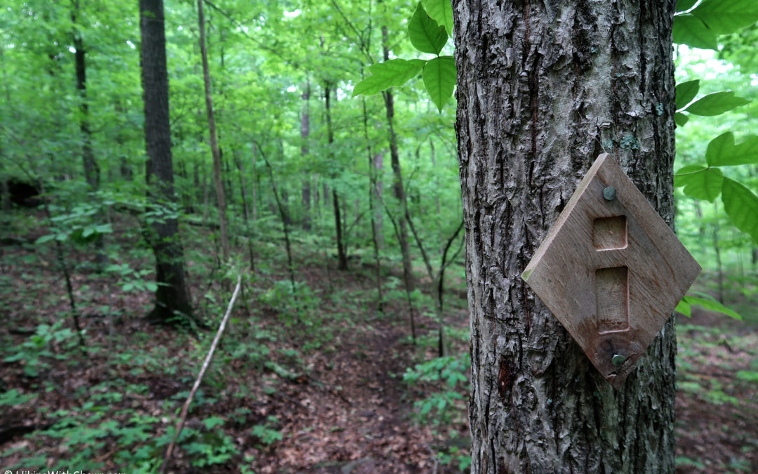 Summer Hiking Tips for the Shawnee National Forest