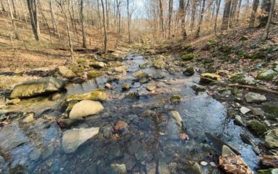 10 Hiking Hacks to make your Hike Better!