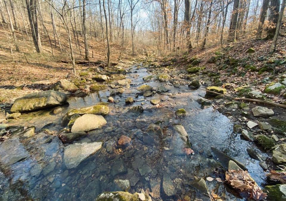 The COVID 19 Guide for Southern Illinois Hikers & Outdoor Enthusiasts
