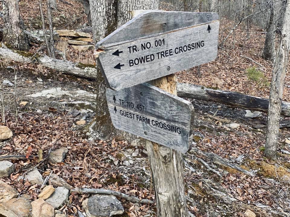 New Year's Day Hike