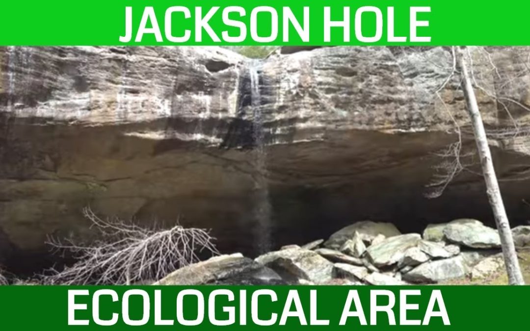 Hiking Jackson Hole Ecological Area in the Shawnee National Forest