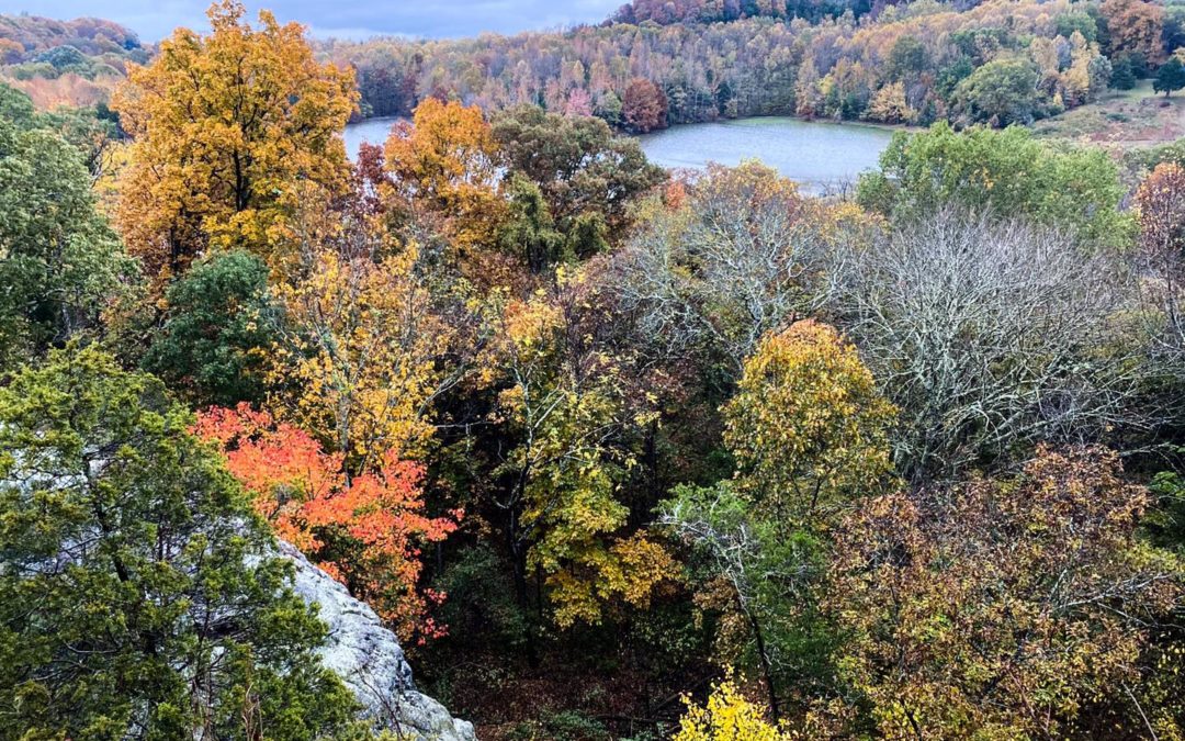 Hiking with Shawn’s Trail Guide Series: Blackjack Oak Trail