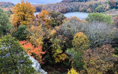 Hiking with Shawn’s Trail Guide Series: Blackjack Oak Trail