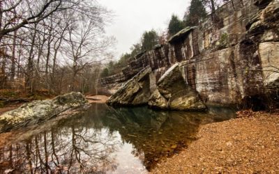 Ultimate Trail Guide: Bell Smith Springs Recreation Area