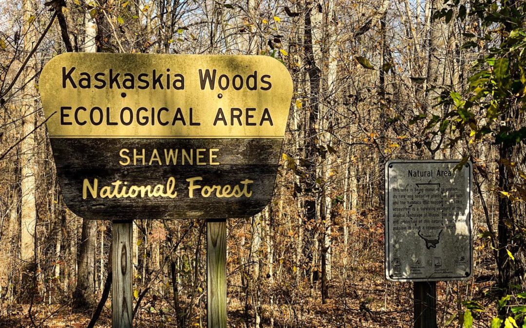 Hiking with Shawn’s Trail Guide Series: Kaskaskia Experimental Forest