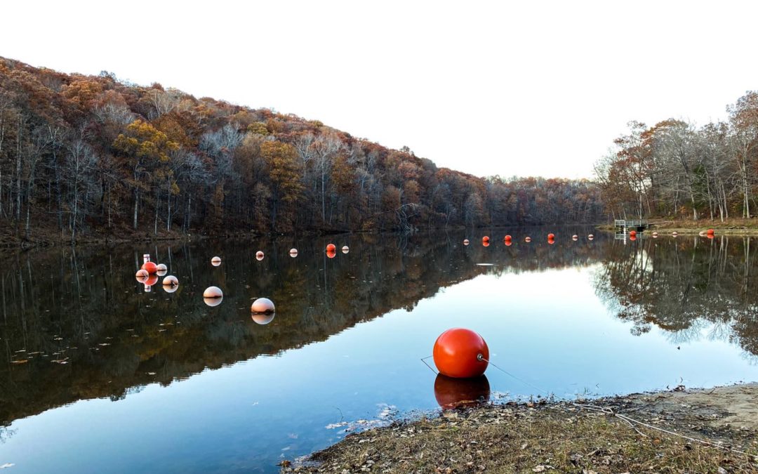 Hiking with Shawn’s Trail Guide Series: Pounds Hollow Recreational Area