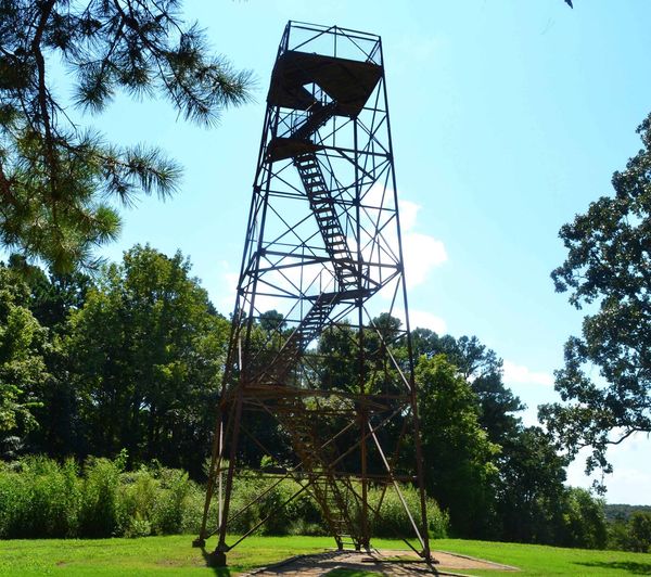 Hiking with Shawn’s Trail Guide Series: Trigg Observation Tower