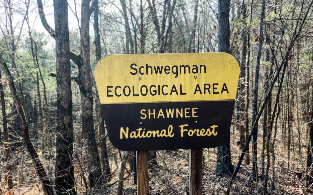 Hiking with Shawn’s Trail Guide Series: Schwegman Ecological Area & Groundhog Den
