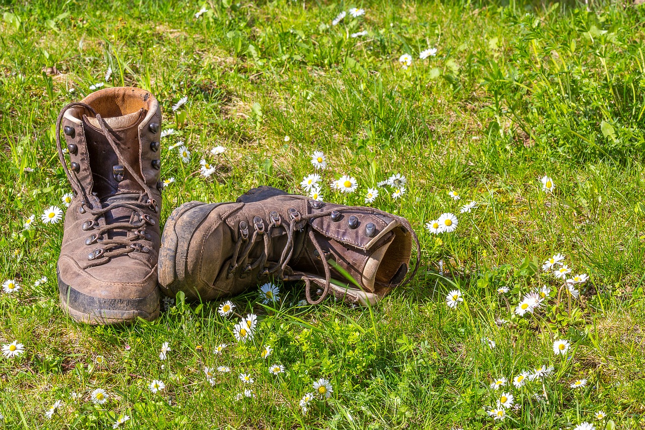 Durable hiking shoes online