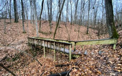 Hiking with Shawn’s Trail Guide Series: Rocky Bluff Trail & Wild Turkey Trail