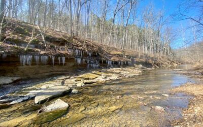 Bay Creek Wilderness Guide