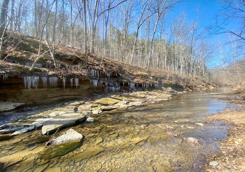 Bay Creek Wilderness Guide
