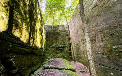 Panther Den Wilderness Guide