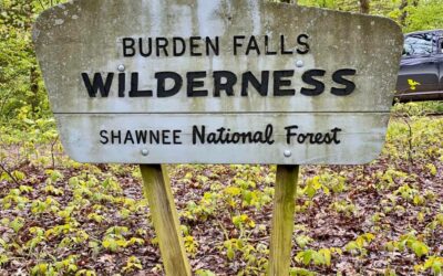 Burden Falls Wilderness Guide