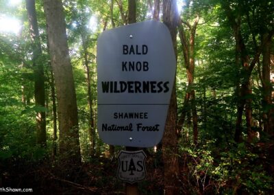 Bald Knob Wilderness