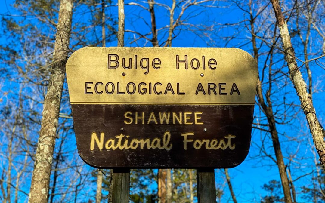 Hiking with Shawn’s Trail Guide Series: Bulge Hole Ecological Area