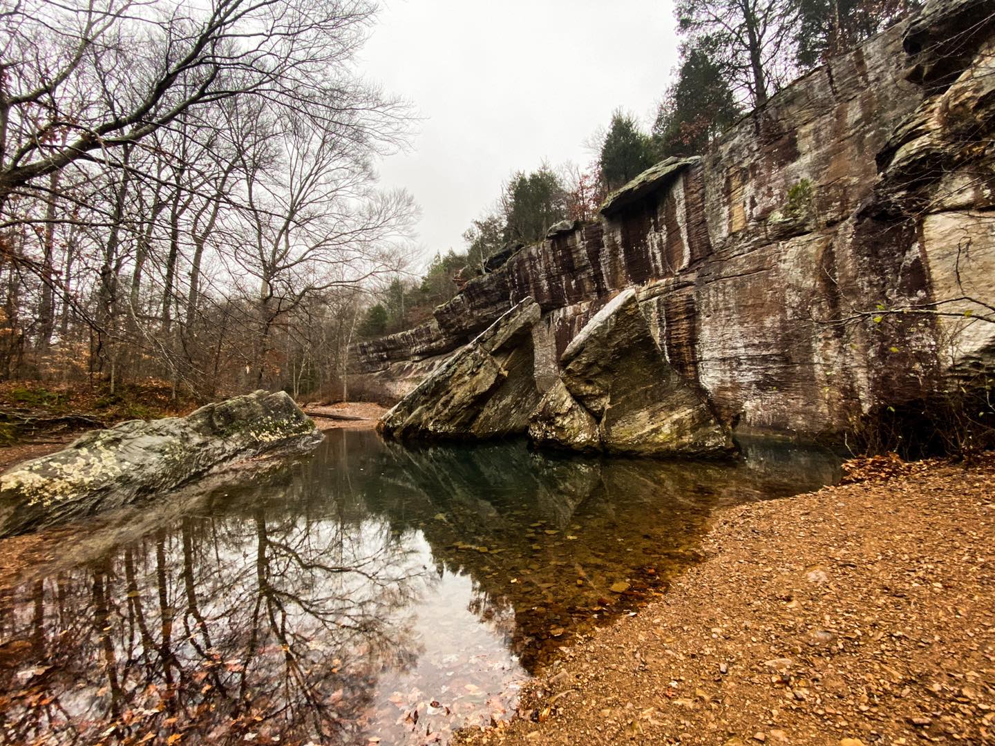 Bell Smith Springs