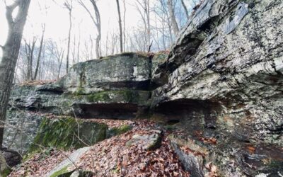 Shawnee Wilderness Designation Act Could Harm Southern Illinois