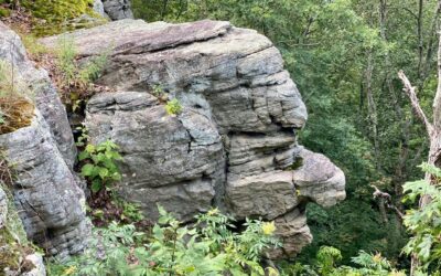 Old Stoneface Trail Guide in the Shawnee National Forest