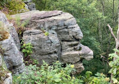 Old stoneface trail