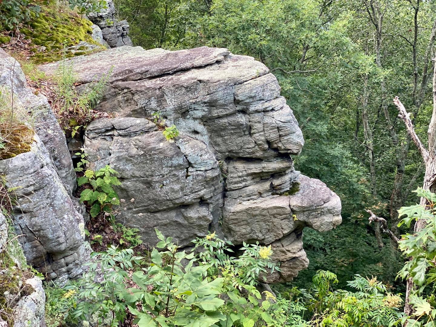 Old stoneface trail