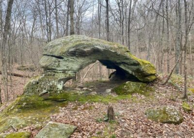 Cedar Creek Wonders