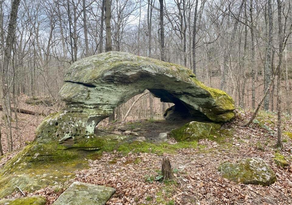 Hiking with Shawn’s Trail Guide Series: Cedar Creek Wonders