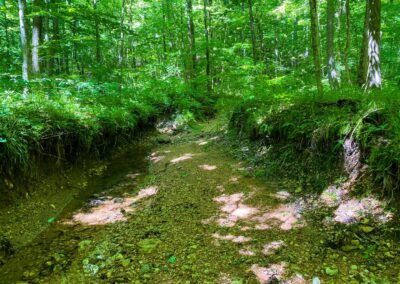 Horse Creek Trail