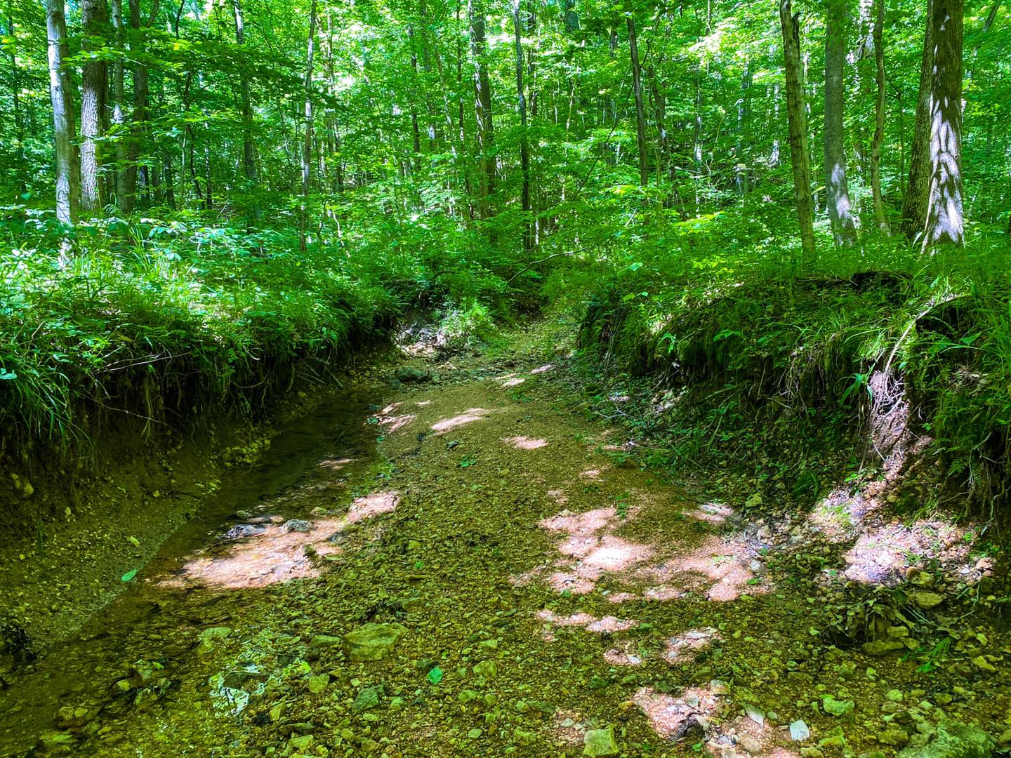 Horse Creek Trail