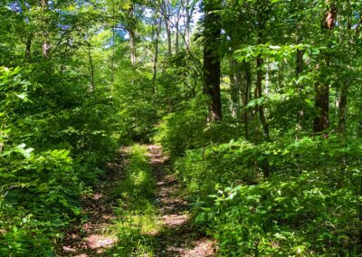 Hike in Extreme Heat and Humidity