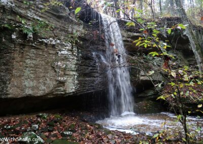 Cedar Creek Wonders