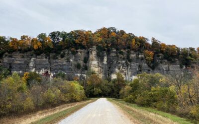 Hiking with Shawn’s Ultimate Trail Guide Series: LaRue Pine Hills