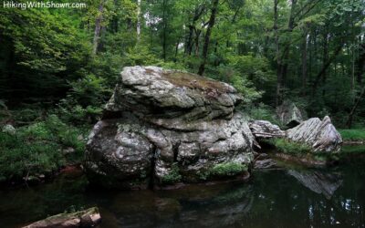 Hiking with Shawn’s Trail Guide Series: Max Creek Loop