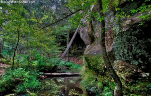 Rice Hollow Creek