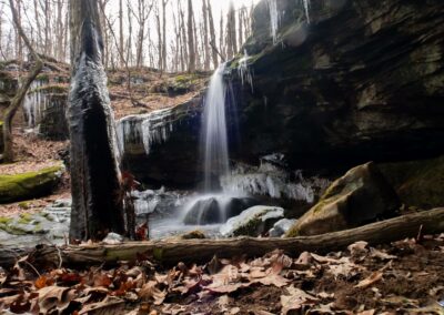Max Creek