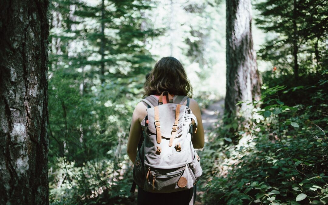 Hiking with Shawn’s Beginner Hiker Series: Choosing the Right Hiking Gear