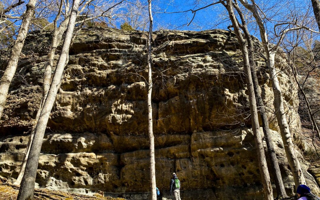 Hiking with Shawn’s Trail Guide Series: Trail 001T Cove Hollow