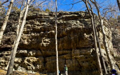 Hiking with Shawn’s Trail Guide Series: Trail 001T Cove Hollow