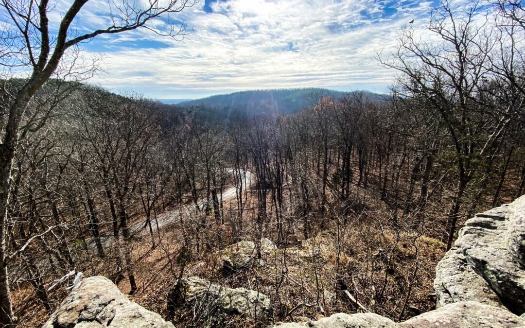 53 Shawnee National Forest Camping Areas for All Types of Camping