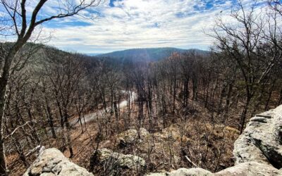 53 Shawnee National Forest Camping Areas for All Types of Camping
