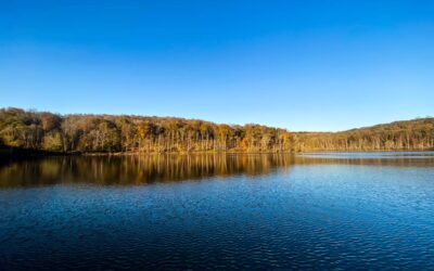 Millstone Lake Guide – Shawnee National Forest