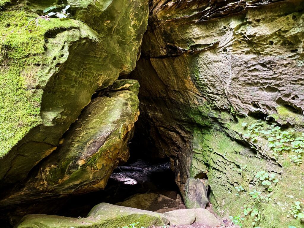 Shawnee National Forest Hiking Trails