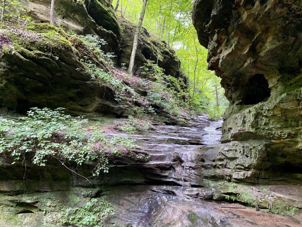 Shawnee National Forest Hiking Trails