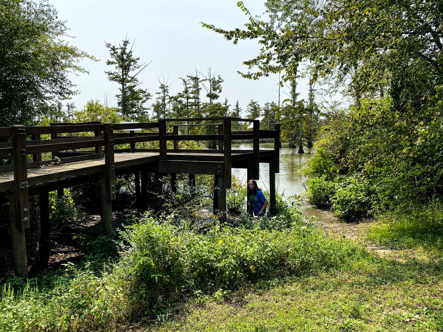 Shawnee National Forest Handicap Accessible Trails  Lower Cache
