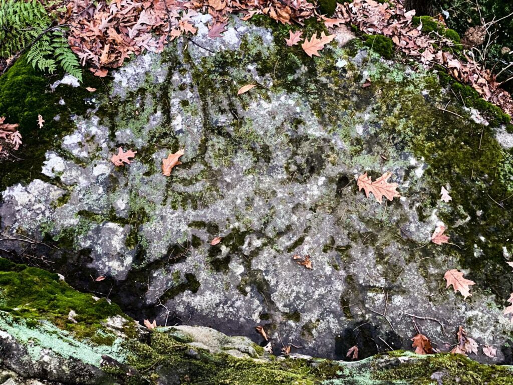 Shawnee National Forest Hiking Trails